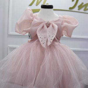 3164 Rosa